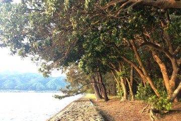 Take a stroll on the coast line between Amanohashidate and Ichinomiya, the two points of the ferry service.
