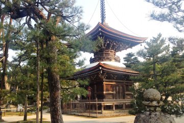 As one of three monju temples in Japan, Chionji is associated with Manjusri, a bodhisattva associated with transcendent wisdom.&nbsp;
