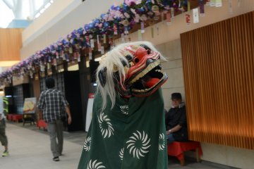 <p>You can even witness a lion dance</p>