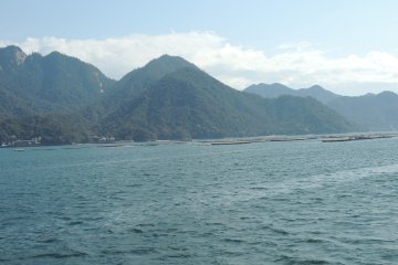 <p>L'&icirc;le est constitu&eacute;e d'une &eacute;paisse for&ecirc;t. Il y a des&nbsp;chemins et sentiers qui sillonnent l'&icirc;le.&nbsp;Un t&eacute;l&eacute;ph&eacute;rique permet d'acc&eacute;der au point culminant : le mont Misen d'une altitude de 530 m&egrave;tres</p>