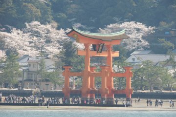 <p>Torii flottant (&agrave; mar&eacute;e basse)</p>