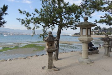 <p>Beaucoup de lanternes sillonnent l'&icirc;le</p>