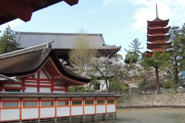 <p>Le sanctuaire d'Itsukushima est un sanctuaire shinto&iuml;ste</p>
