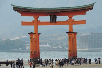 <p>Le torii &agrave; marr&eacute;e basse</p>