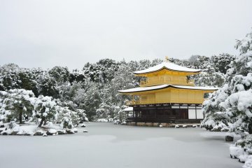 겨울 풍경
