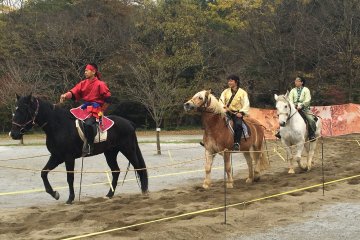 <p>Another 3 contestants from Korea and Japan</p>
