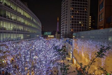 <p>Di seberang jembatan ini, di antara warna keperakan terang, Tokyo Tower dapat dilihat dari kejauhan.</p>
