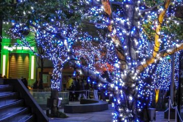 <p></p>

<p>Even at the start of Midtown's Illumination you get the sense that something special is about to happen</p>
