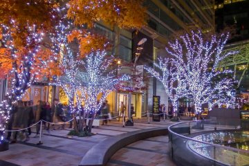 <p>Some of the bright and colorful 'Welcome Illuminations' situated along Gaien-Higashi Street</p>
