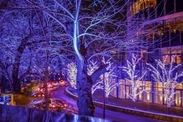 <p>The bright lights transform everything into an ambient vibe</p>
