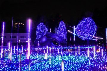 <p>Utilizing over 180,000 LEDs, this impressive space age illumination is said to represent the birth of the galaxy</p>

<p></p>
