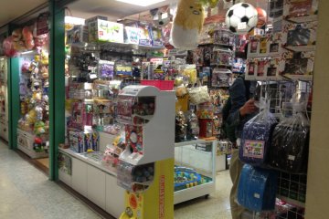 <p>One of the independent hobby shops, showcasing various kinds of items.</p>
