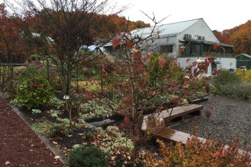 <p>More of the garden: A good place to stroll after lunch in the vineyard's on-site cafe</p>