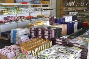 <p>A hotel souvenir shop</p>