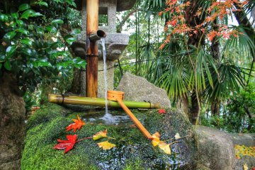 Tiny water well at the entrance to wash your hands before you enter the shrine
