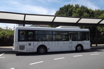 <p>Bis gratis dari stasiun Mishima.</p>
