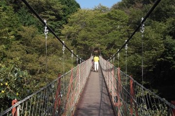 <p>Jembatan gantung di taman alam dekat Area Buffet.</p>
