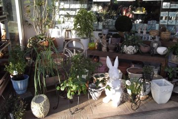 <p>Toko Bunga Biotope Garden.</p>
