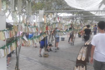 Bamboo wish trees with Tanzaku tied to them
