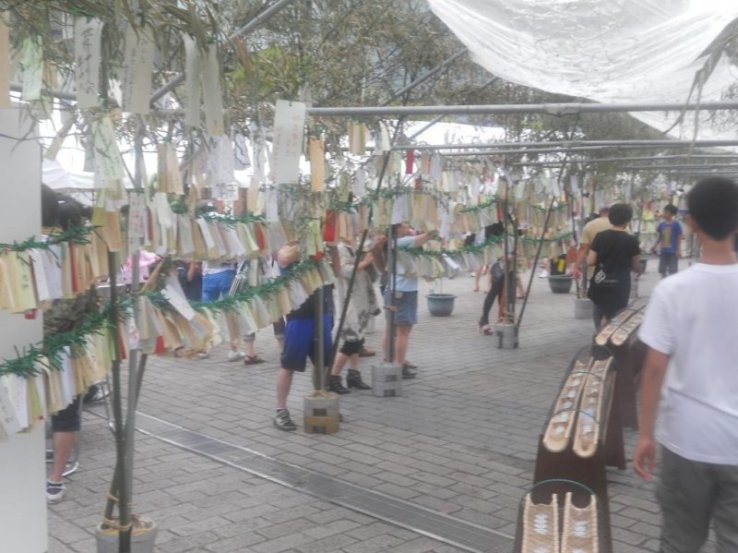 Bamboo wish trees with Tanzaku tied to them