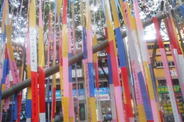 Paper streamers with handwriting which represents good luck in studies