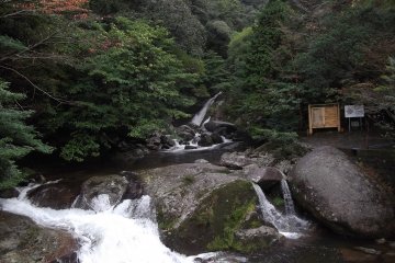 <p>At the start of the trails</p>
