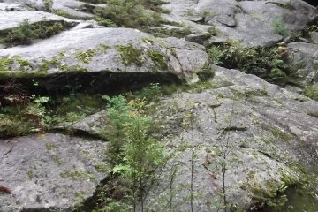 <p>Quite soon you come to this</p>

