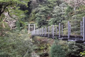 <p>There are a number of handsome bridges along the way</p>
