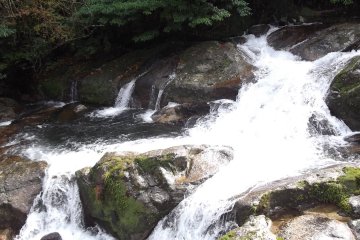 <p>White water</p>
