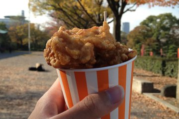 <p>Chicken karaage in Osaka Castle area.</p>
