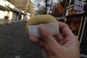 <p>Yomogi mochi before visiting Nara Park.</p>
