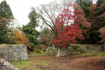 <p>A fiery maple on the Jugokentamon Gate and Turret foundations</p>
