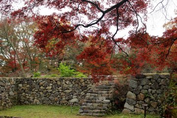 <p>Maple leaves and the Taiko Turret foundations</p>
