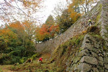<p>Along the walls of the central bailey on the backside of the castle</p>
