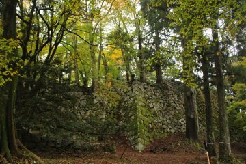 <p>The forest and the walls of the central bailey</p>
