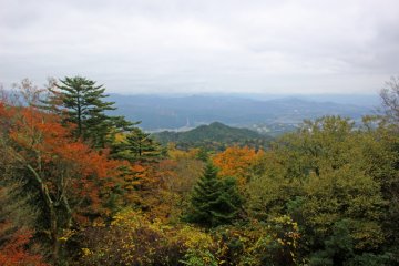 <p>Looking north and west from the main bailey</p>
