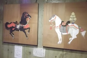 <p>Black and white horses</p>
