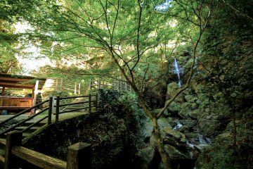 Le chemin serpente en remontant le cours d'eau, que l'on franchit de temps à autres par une série de petits ponts.