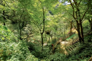 Vue du sentier en contrebas.