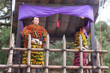 <p>Chrysanthemum dolls!</p>
