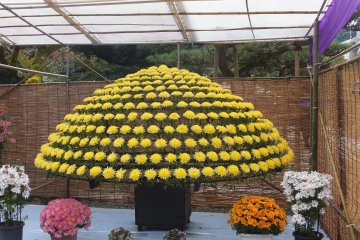 <p>Floral Art</p>
