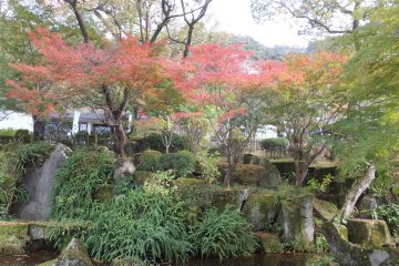 <p>Park scenes...</p>
