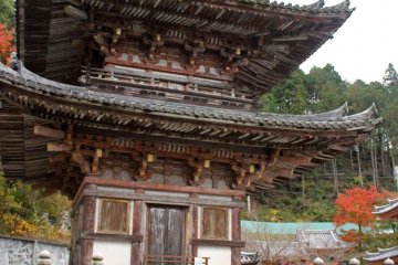<p>Pagoda 3 lantai (dibangun pada 1497) dan kacamata Buddha. Dipercaya bahwa jika seseorang berjalan dengan membentuk angka 8 melalui kedua lubang lensanya maka doa mereka untuk kesehatan mata akan dikabulkan</p>
