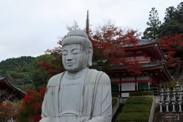<p>Pohon maple merah menjadi backdrop yang indah bagi patung Buddha yang sedang duduk</p>
