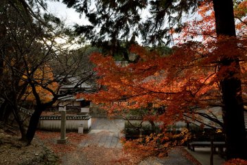 Temple grounds in the fall