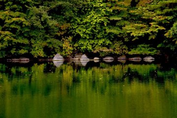 Shimmering reflections