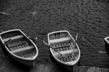 Rowboats