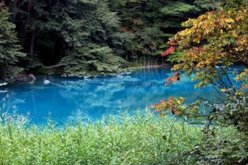 Vibrant blues and greens of Goshikinuma