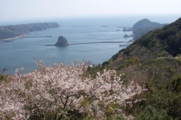 The view from atop Mt. Nesugata