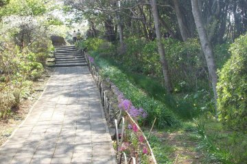A variety of paths lead through Nesugata Nature Park